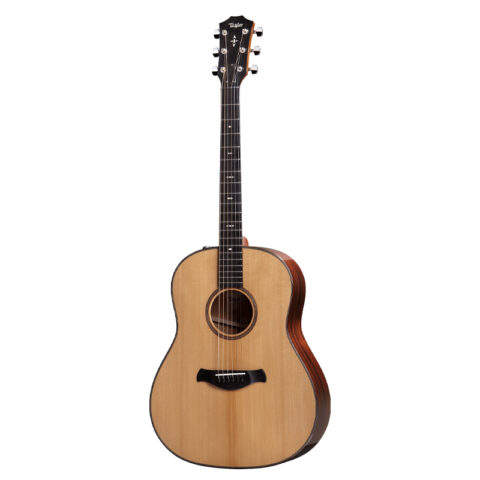 Taylor Builder’s Edition 517e Natural Top