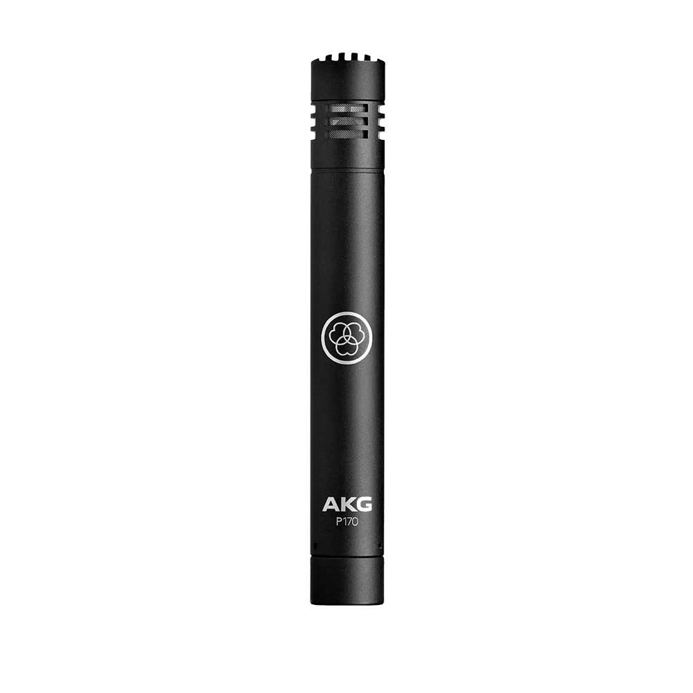 AKG-P170.jpg