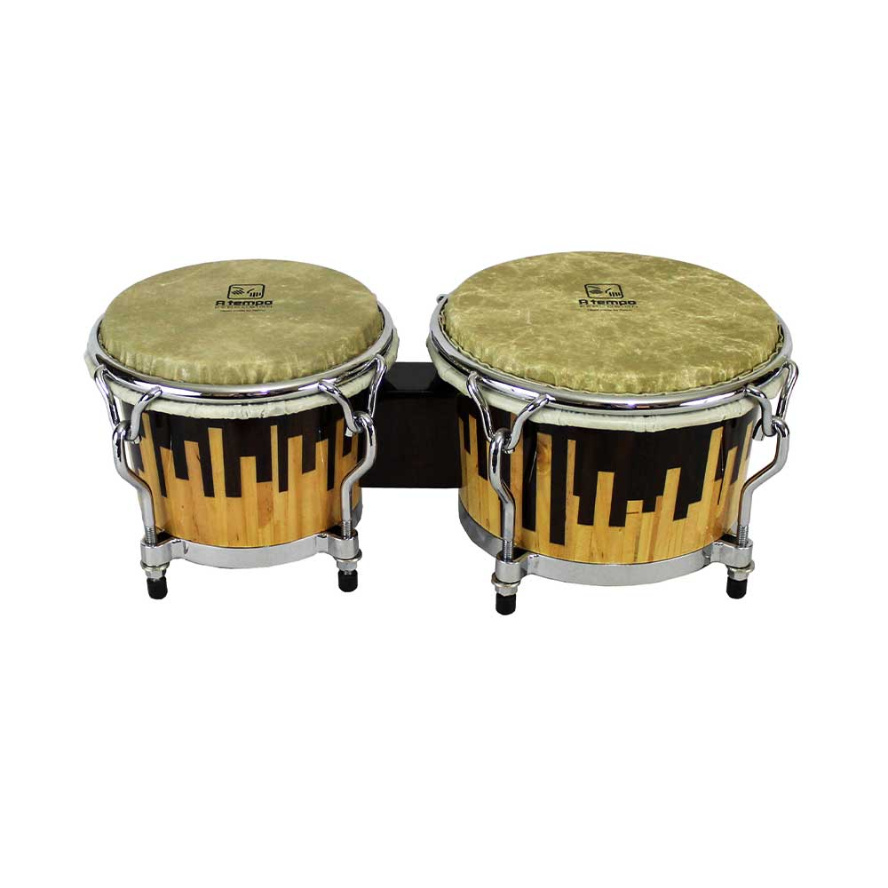 BONGO-CASCADA.jpg