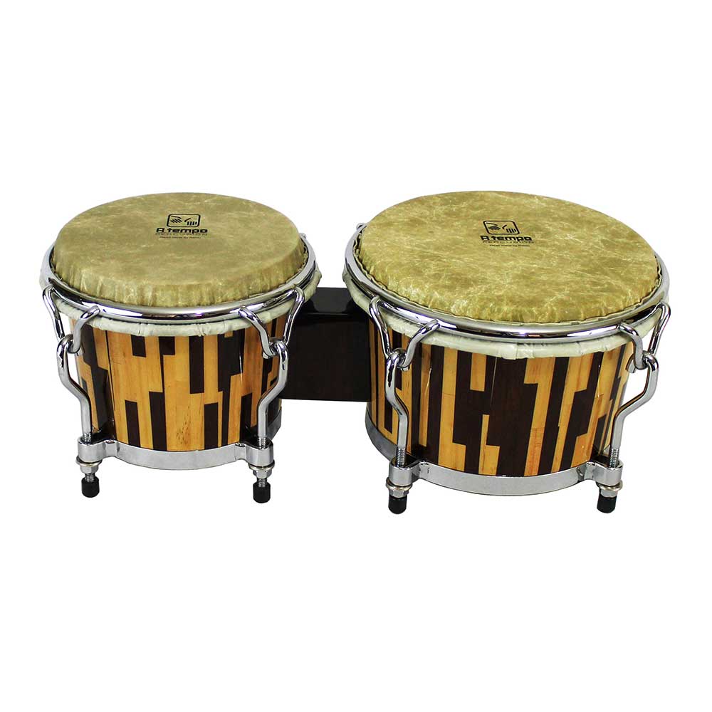 BONGO-JASPE-NP.jpg