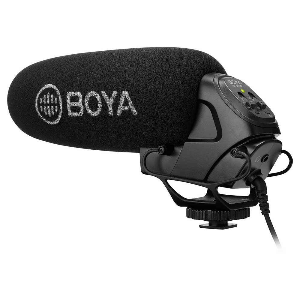 Boya-BY-BM3031.jpg