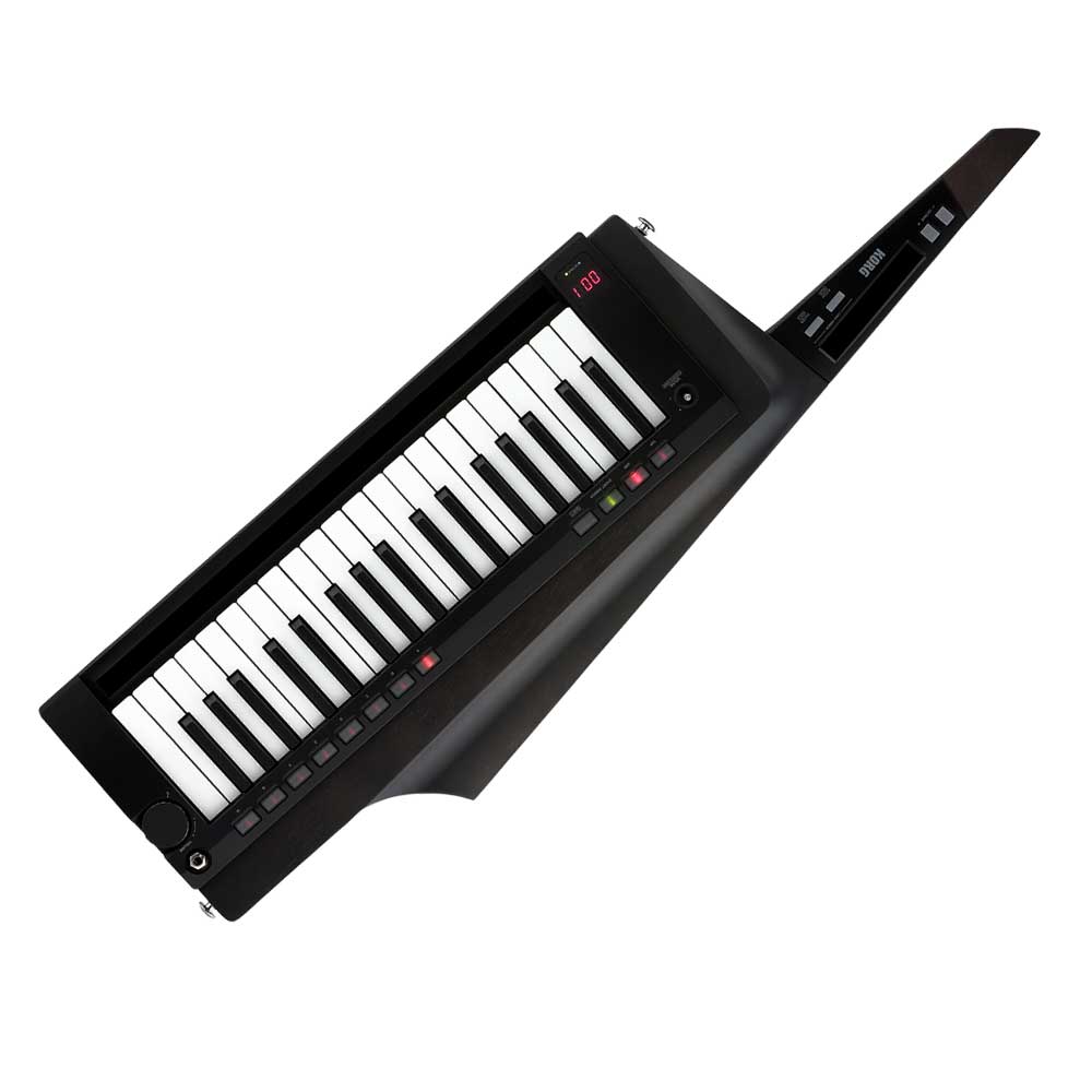 Korg-RK-100S-Dark.jpg