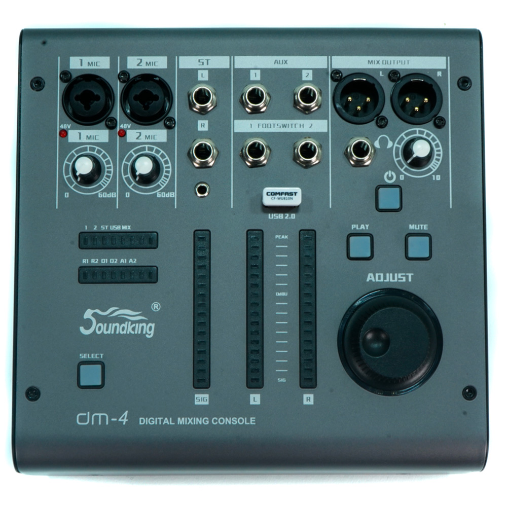 Soundking-DM-4-.jpg