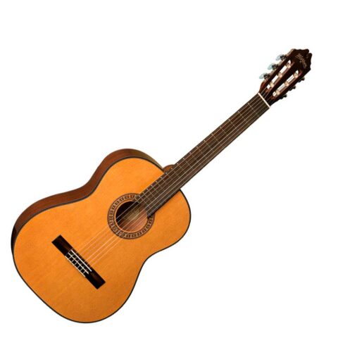 Washburn C40-A-U - Guitarra acústica con cuerdas de Nylon