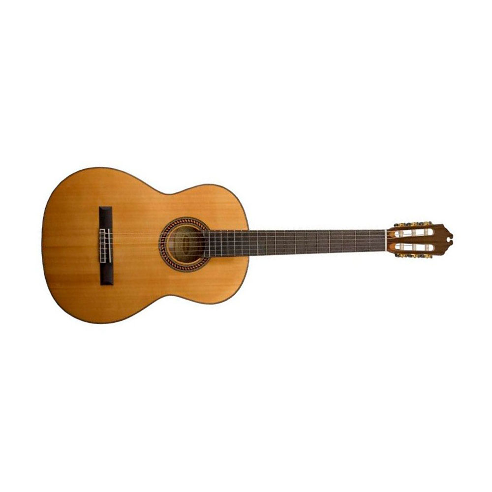 Washburn WC160SW - Guitarra Acústica Clásica - Imagen 2