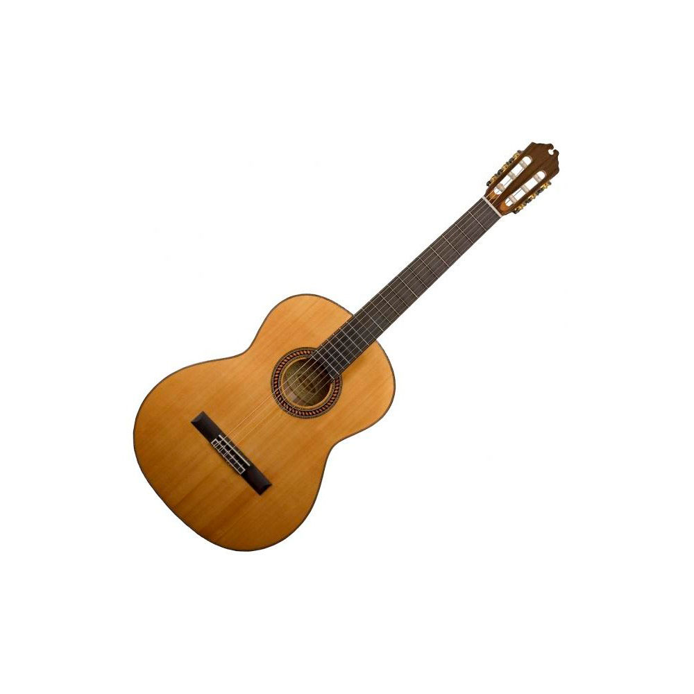 Washburn WC160SW - Guitarra Acústica Clásica