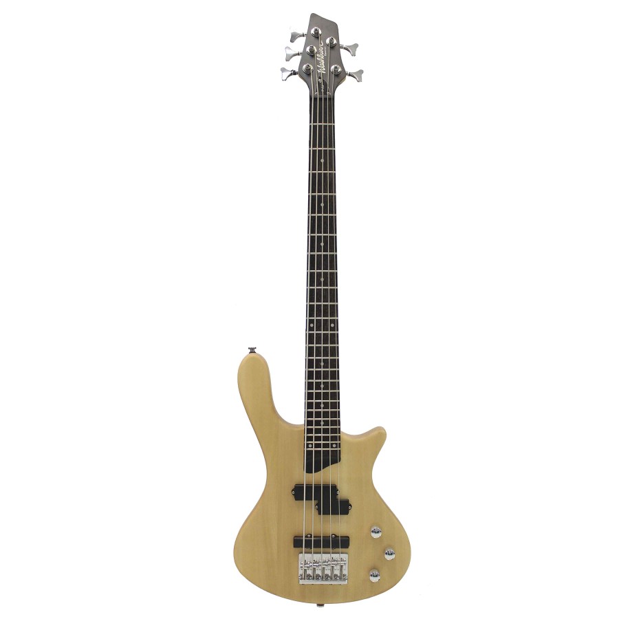 washburn-t15ns-a-u.jpg